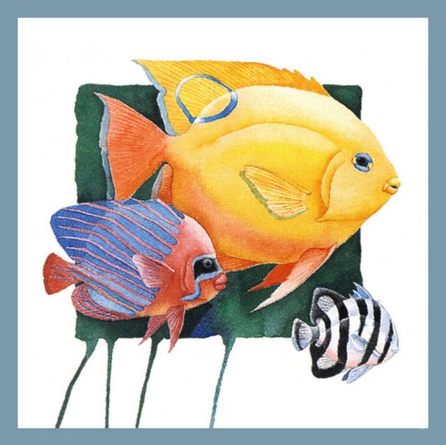 彩色海鱼装饰画1