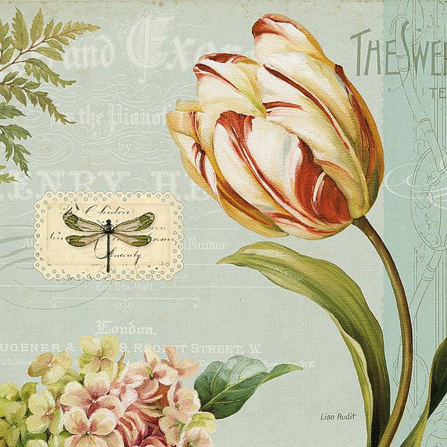 手绘复古花卉昆虫标本装饰画