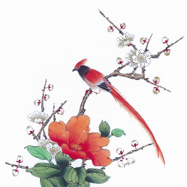 红色花与鸟素材工笔画
