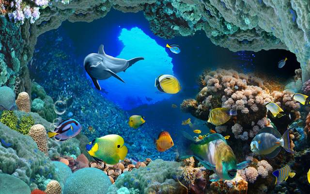海豚珊瑚礁洞穴装饰画