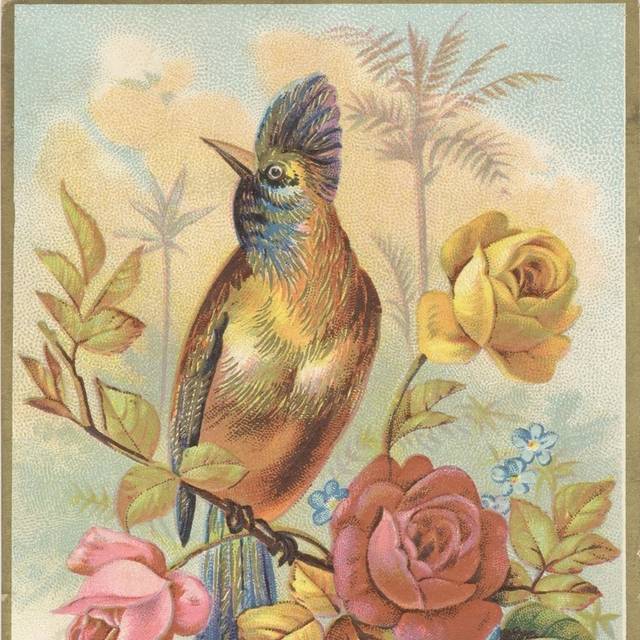 鲜花小鸟装饰画素材