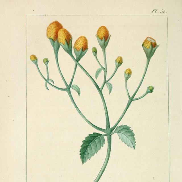 美式手绘复古装饰画5