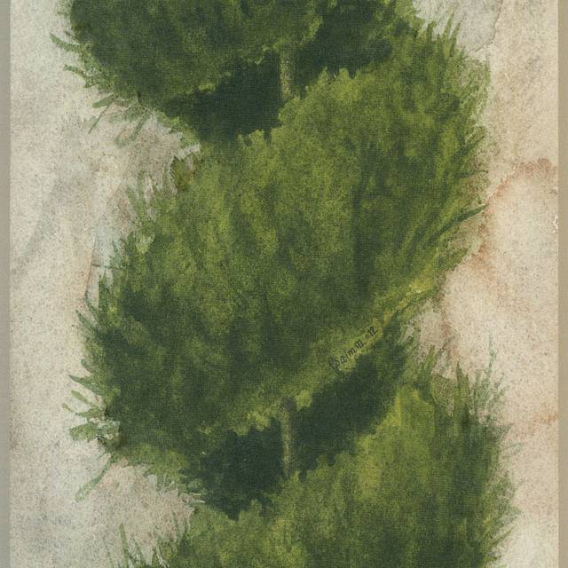 绿树盆栽装饰画