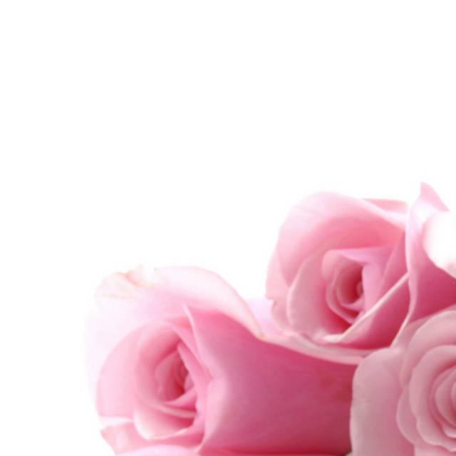 粉色玫瑰客厅装饰画