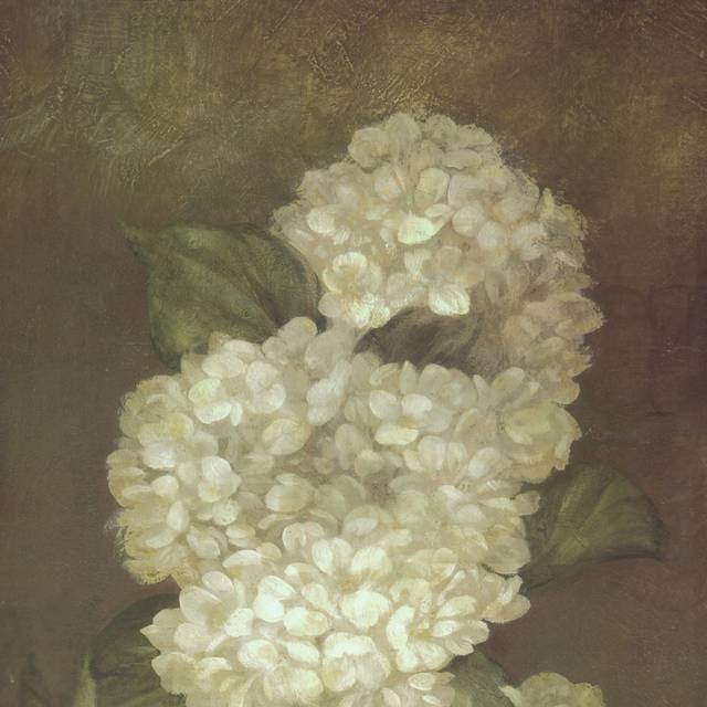 白色精致花朵装饰画1