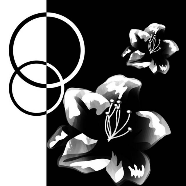 黑白灰花卉圆圈装饰画2