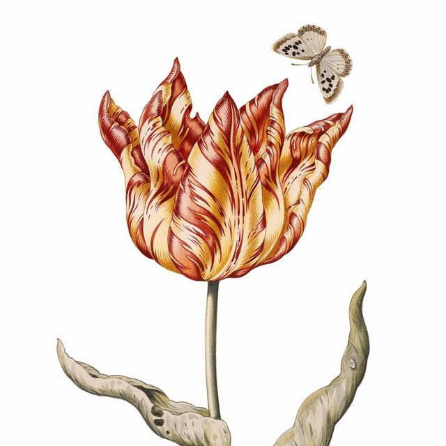 田园花卉装饰画2