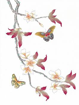 雪濤 花蝶圖 王雪濤花鳥| Wang Xuetao, Flower and Birds | Inkspiration