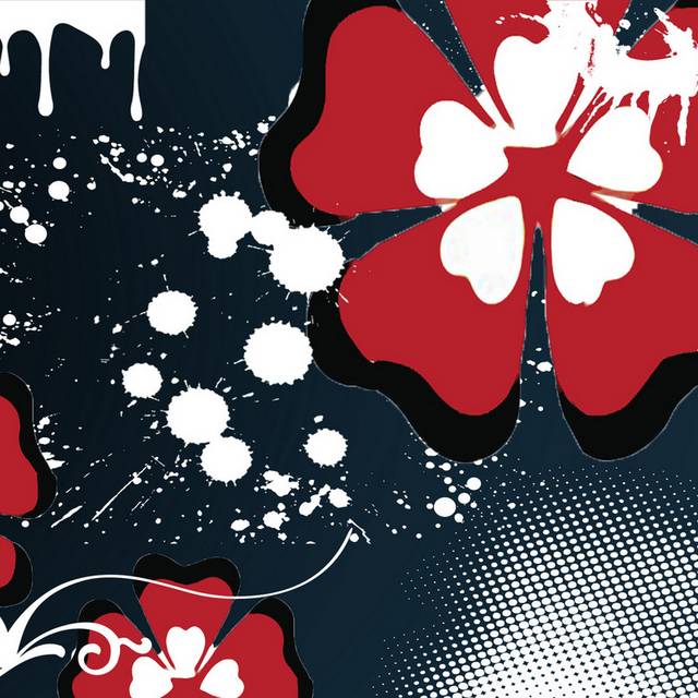 泼墨黑红花卉个性装饰画2