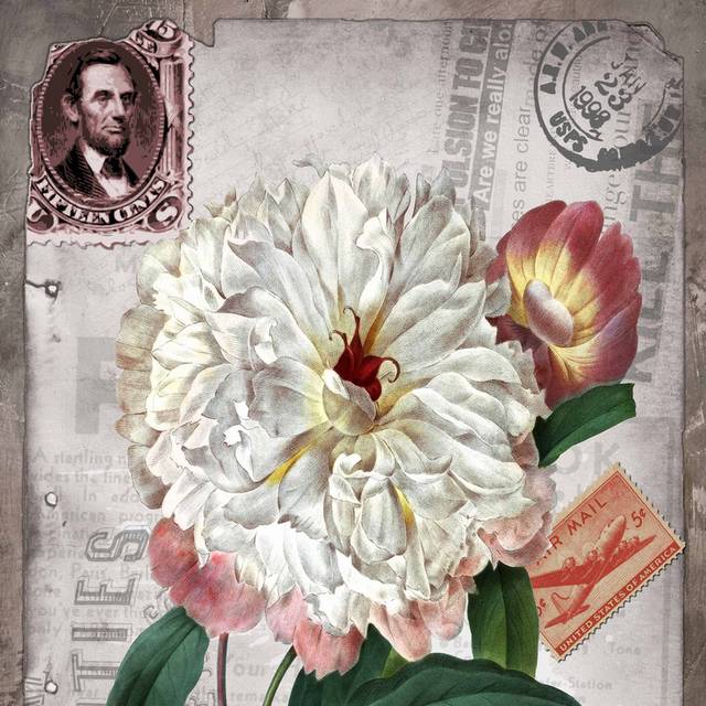 复古白色花朵邮票无框画1