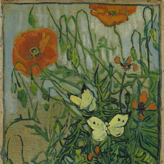 梵高花蝶静物画