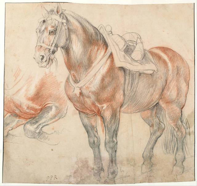 手绘素描马匹装饰画