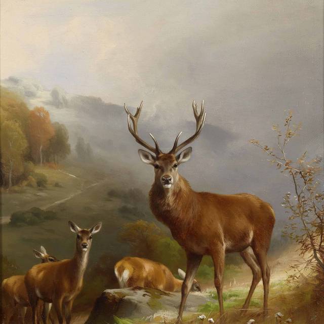 美丽的小鹿油画装饰画