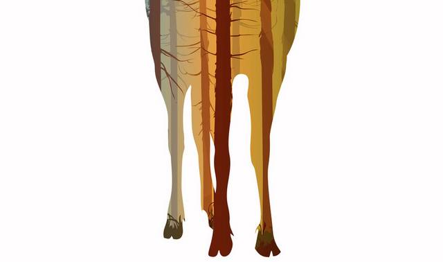 彩色麋鹿装饰画1