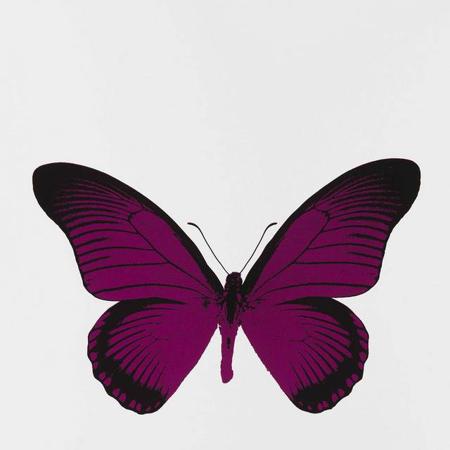 紫红色蝴蝶抽象无框画