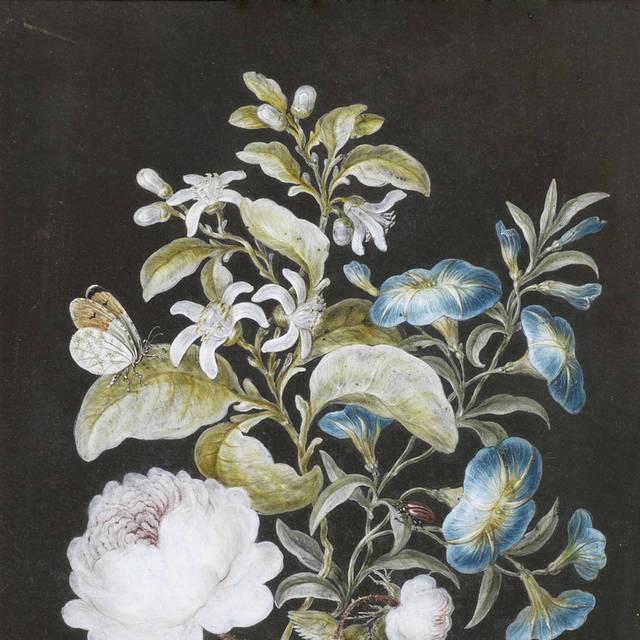 酒店静物素雅花卉装饰画8
