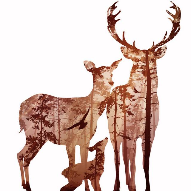 森林麋鹿装饰画4