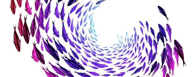 紫色鱼群装饰画