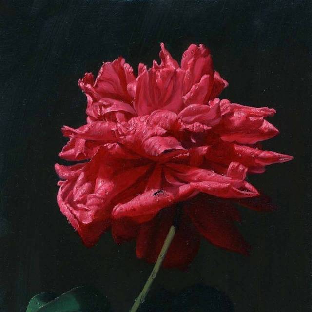 精致花束鲜艳酒店花卉装饰画5