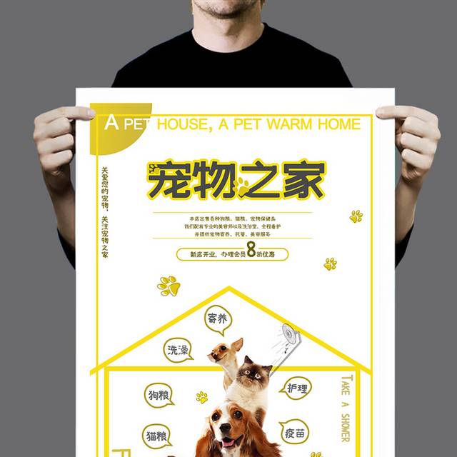 精美黄色宠物海报
