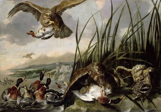 鹰攻击鸭子油画装饰画