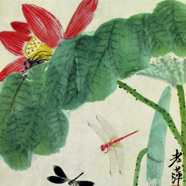 荷叶荷花蜻蜓中式装饰画
