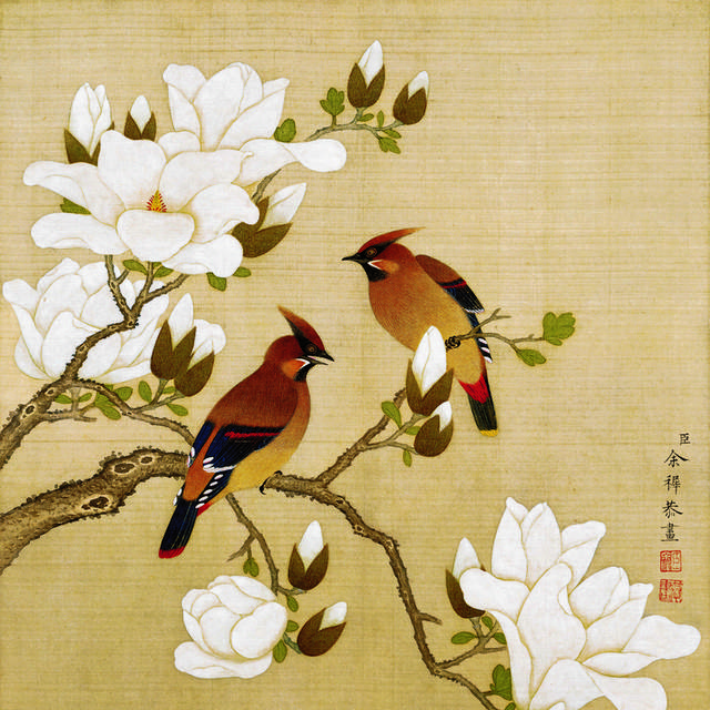 白玉兰小鸟古典装饰画