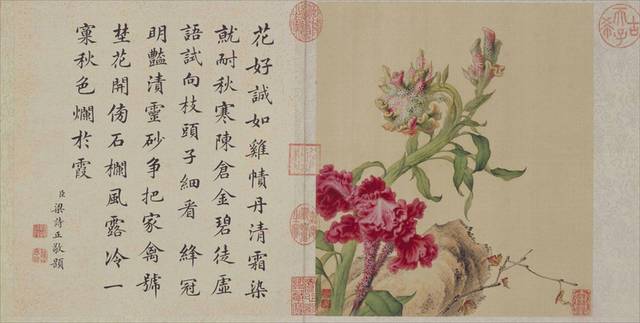 鸡冠花中式装饰画