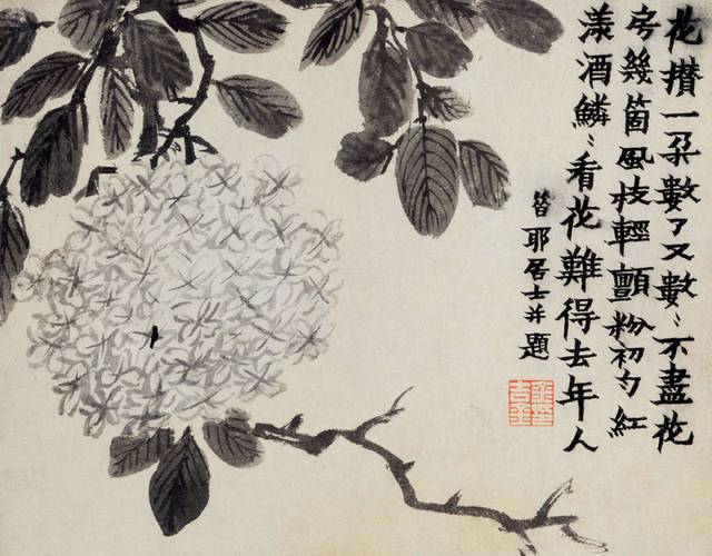 绣球花中式装饰画