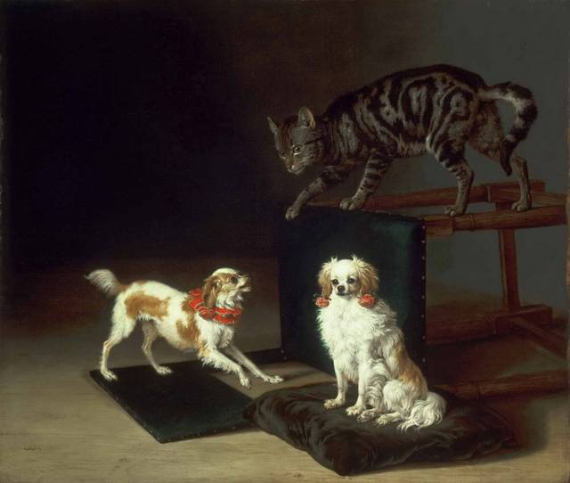 与狗玩耍的猫油画装饰画
