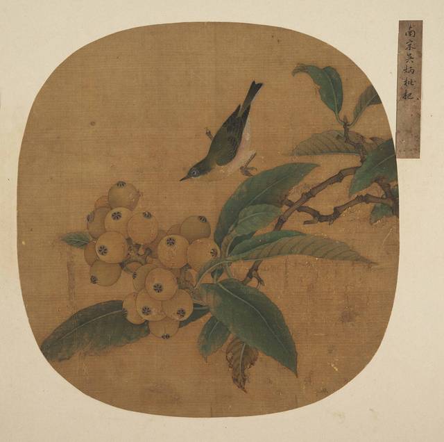 国画枇杷_图品汇