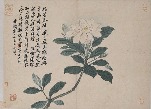 白色花卉古典装饰画