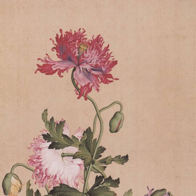 红粉花卉中式装饰画