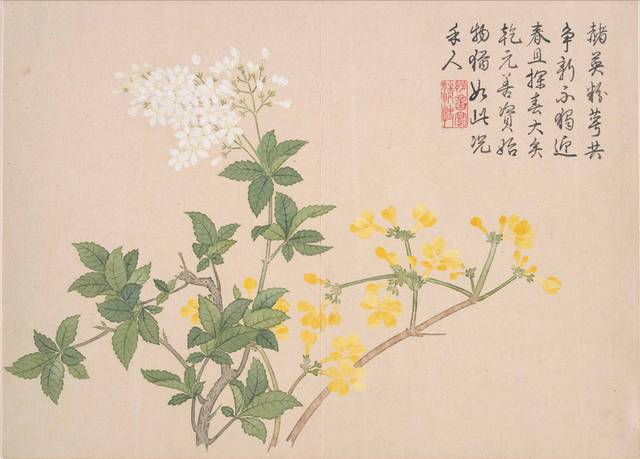 黄白小花古典装饰画