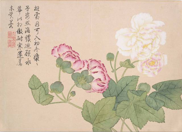 粉白花朵中式装饰画