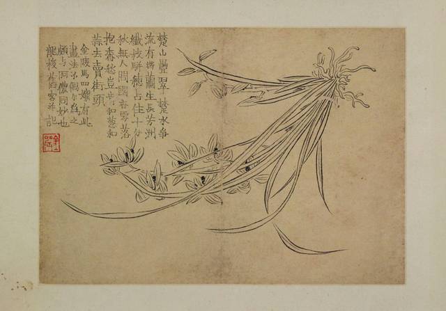 野兰花中式装饰画
