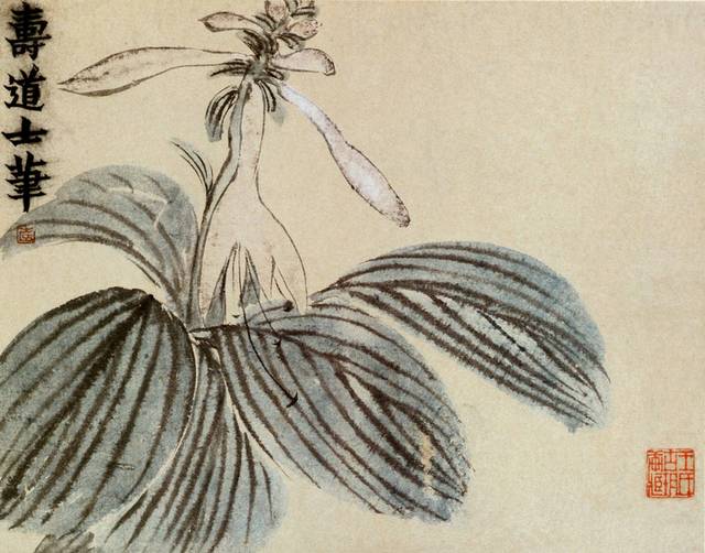古典花卉中式装饰画