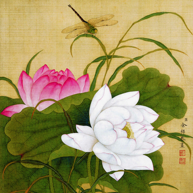 荷花蜻蜓古典装饰画