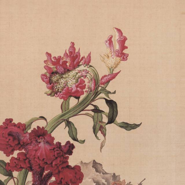 红鸡冠花中式装饰画