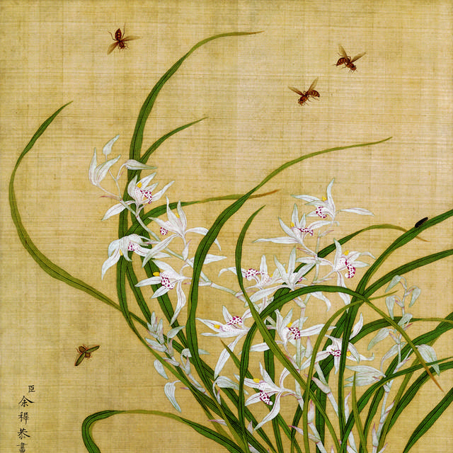白色花卉蜜蜂古典装饰画