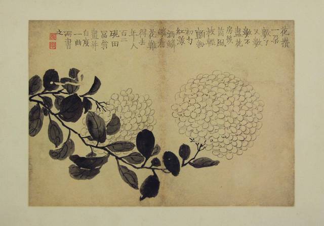 绣球花枝中式装饰画