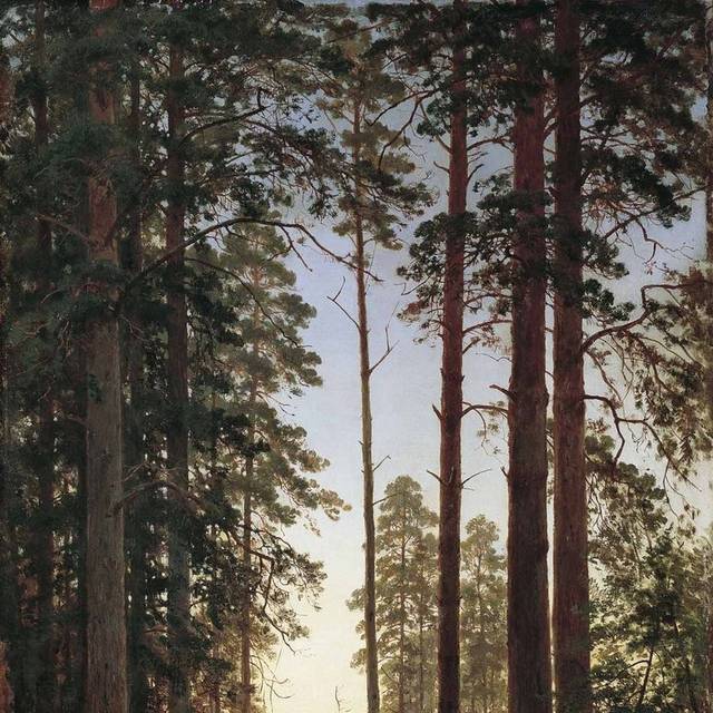 夕阳下的树风景油画装饰画