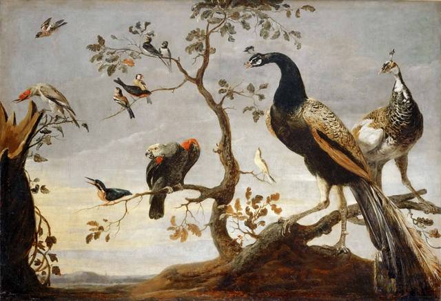 栖息在树枝上的鸟油画装饰画
