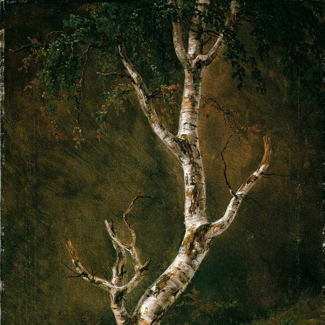 丛中树木油画装饰画