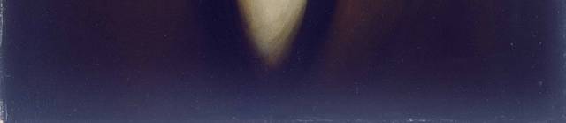 欧美男性油画5