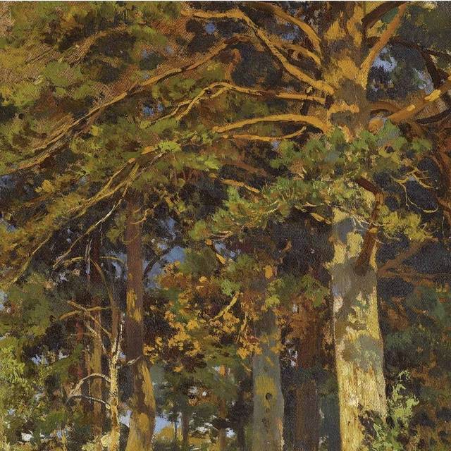 阳光下的树木风景油画装饰画