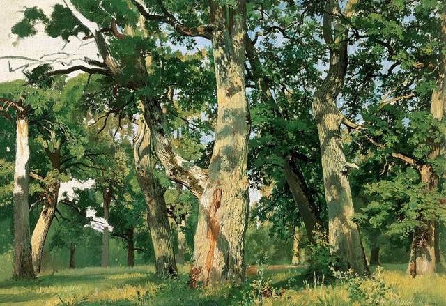 林中树木风景油画装饰画