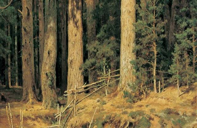 森林风景油画装饰画