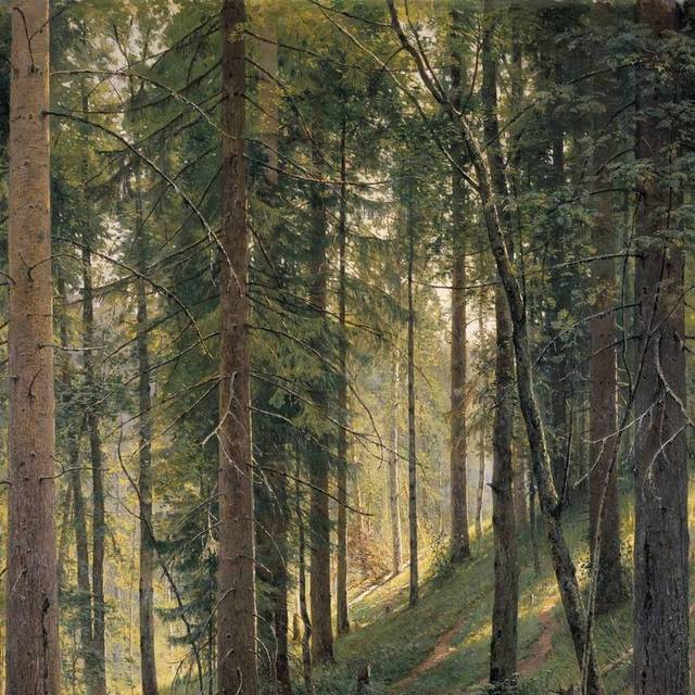 阳光中的树林小溪流风景油画装饰画