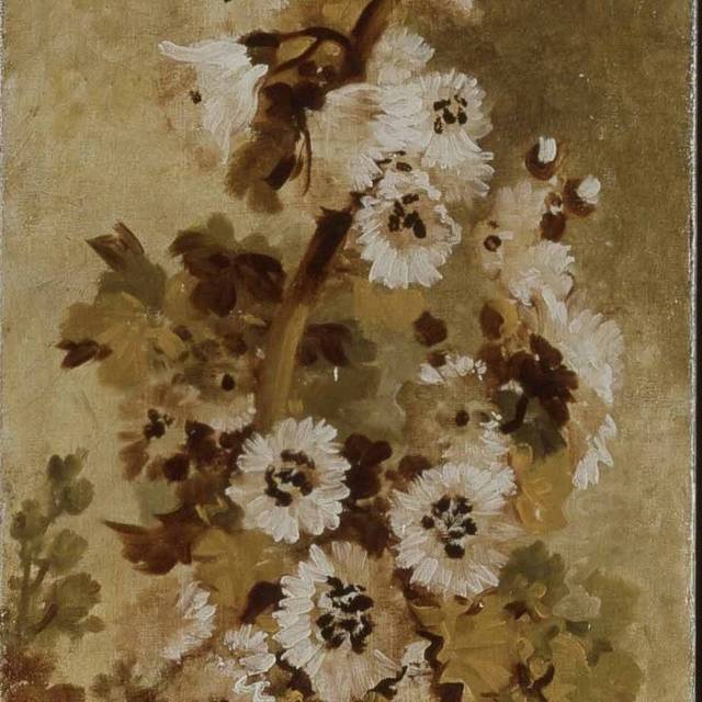 白色的花朵油画素材